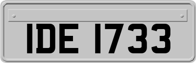 IDE1733