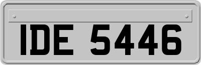 IDE5446