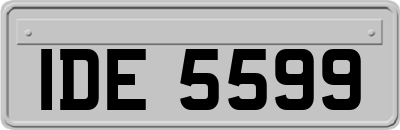 IDE5599