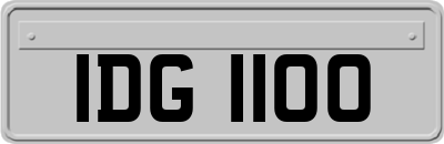 IDG1100