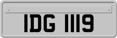 IDG1119