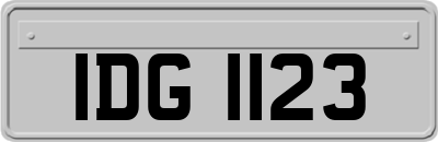 IDG1123
