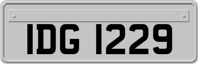 IDG1229