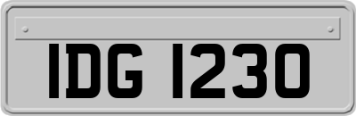 IDG1230