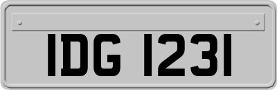 IDG1231