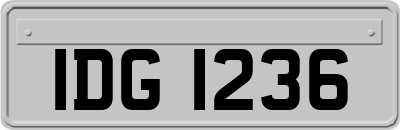 IDG1236