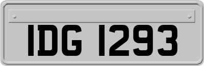 IDG1293
