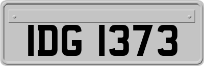 IDG1373
