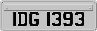 IDG1393