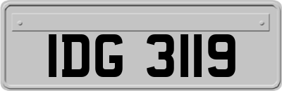 IDG3119