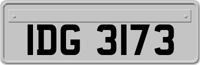 IDG3173