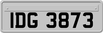 IDG3873