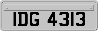IDG4313