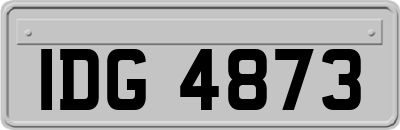 IDG4873
