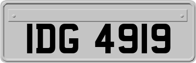 IDG4919