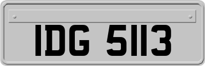 IDG5113