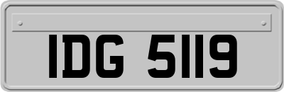 IDG5119