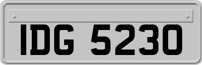 IDG5230