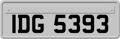 IDG5393
