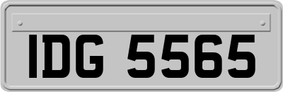 IDG5565