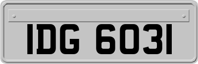 IDG6031