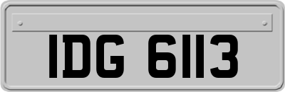 IDG6113