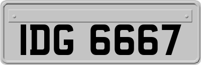 IDG6667