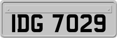 IDG7029