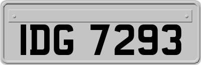 IDG7293