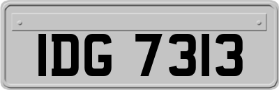IDG7313