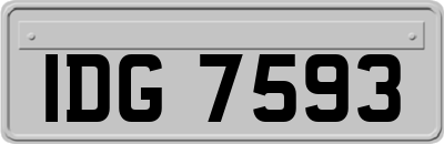 IDG7593