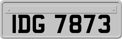 IDG7873