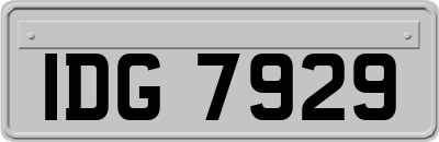 IDG7929