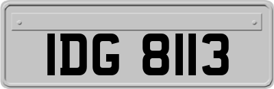 IDG8113
