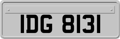 IDG8131