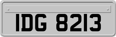 IDG8213