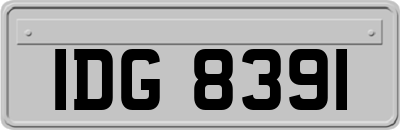 IDG8391