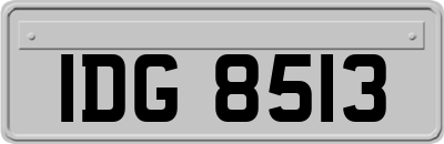 IDG8513