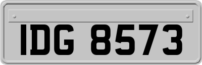 IDG8573