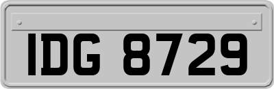 IDG8729