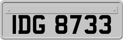 IDG8733