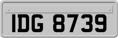 IDG8739