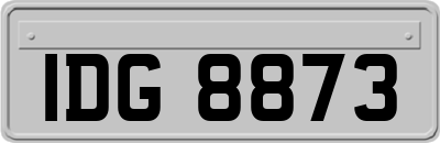 IDG8873