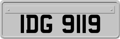IDG9119