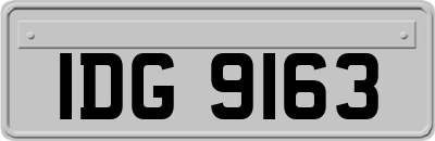 IDG9163