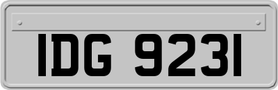 IDG9231