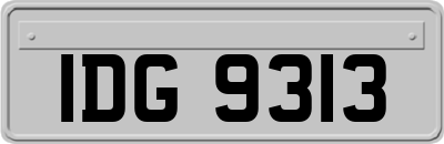IDG9313