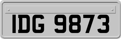 IDG9873