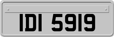 IDI5919