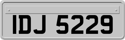 IDJ5229